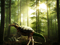 hdimg088a4771e1e51c6b012780e8907393