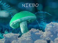 hdimg38d9702968135e442944113890152d