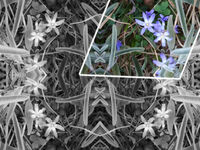 hdimg41a2dfde8b2387a09fb9248b679222