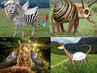 hdimg4dd6e55969d30427fbd802def3ea35