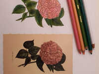 hdimg8062a0ad6e3204c70423b291aedc21