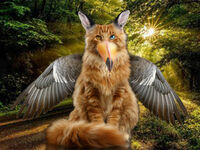 hdimgb4cdf2af5ccb5656c5816000aebc54