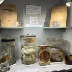 Uczniowie w Muzeum Historii Medycyny